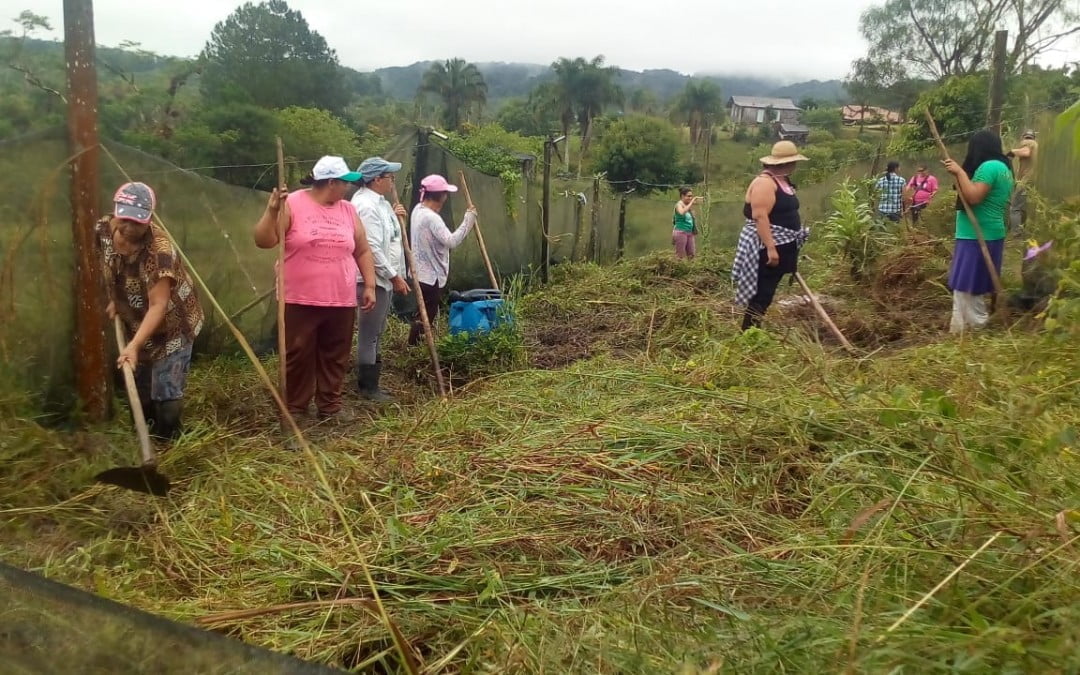 Como foi o Mutirão de práticas agroecológicas, economia feminista e solidária no Vale do Ribeira | por Nilce Pontes Pereira