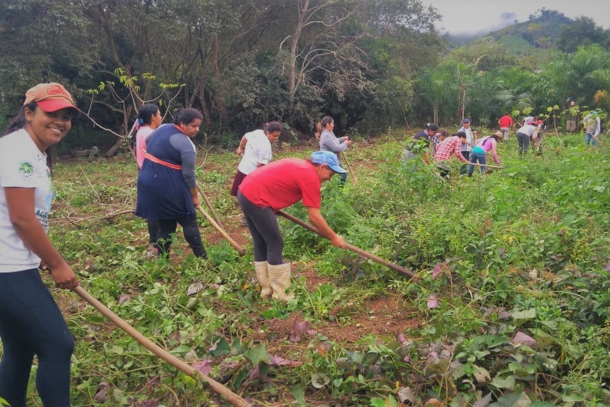 SOF e Instituto Federal de São Paulo apresentam Curso Experimental Técnico em Agroecologia voltado para mulheres agricultoras durante consulta pública