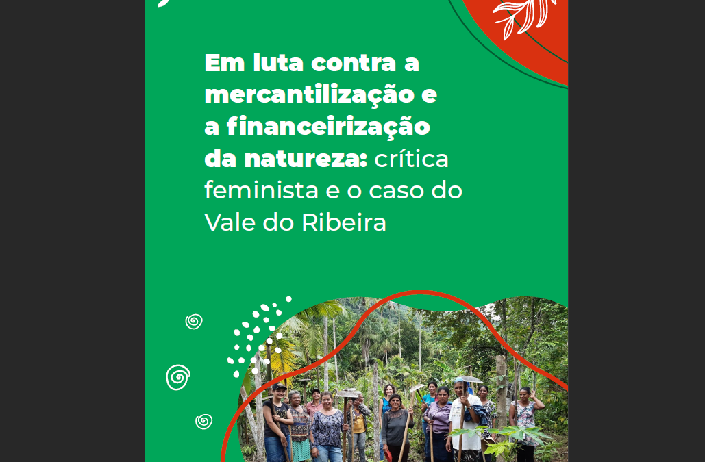 Em luta contra a mercantilização e a financeirização da natureza: crítica feminista e o caso do Vale do Ribeira