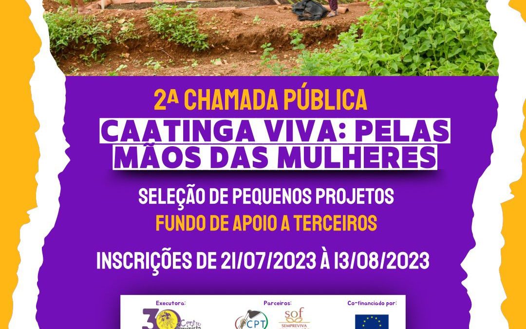 2ª chamada pública ”Caatinga Viva: pelas mãos das mulheres” – seleção de pequenos projetos