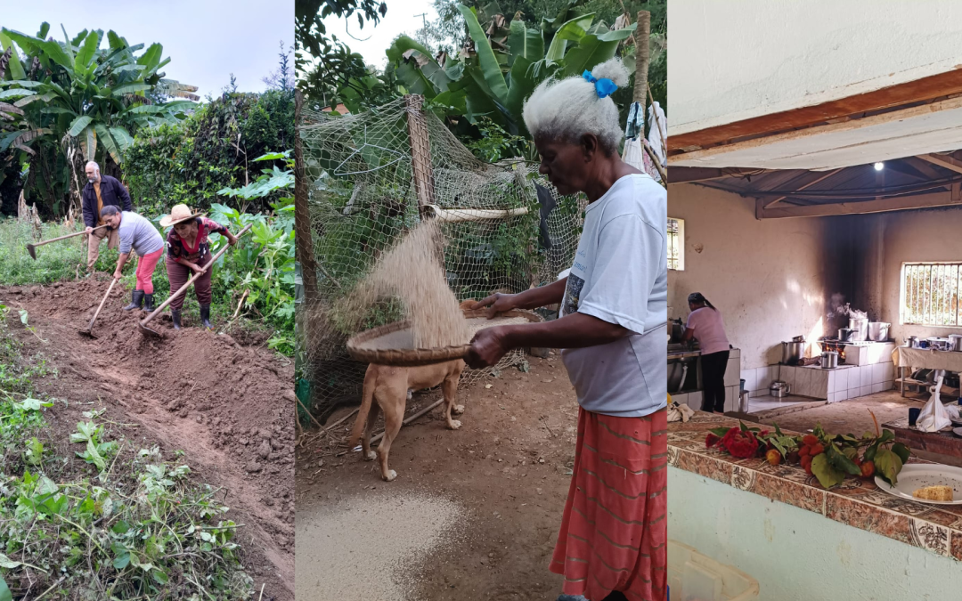 Censo Agropecuário: A contribuição das mulheres e as desigualdades de raça e gênero na agricultura