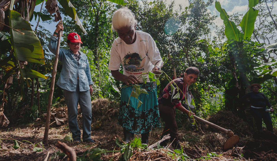 Agroecologia feminista para enfrentar os incêndios criminosos no Brasil