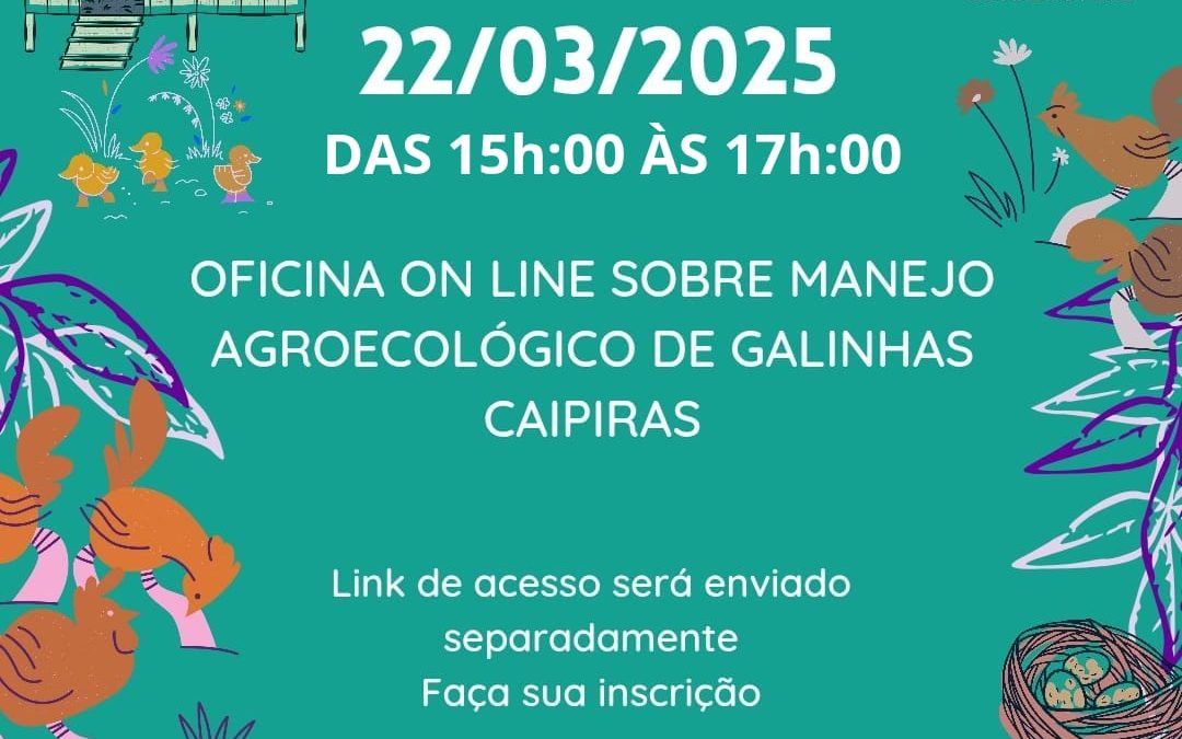 Gravação da oficina de Manejo Agroecológico de galinhas caipiras